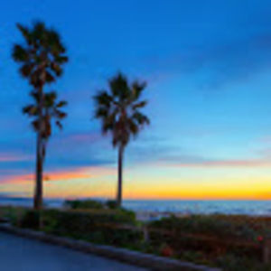 Meet your Posher, Riley